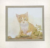 1911 "Baby Beasts"  by E. J. Detmold