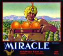 F119: Miracle