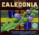 F127: Caledonia