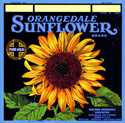 F130: Sunflower