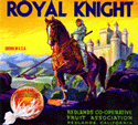 F27: Royal Knight