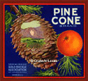 F76: Pine Cone